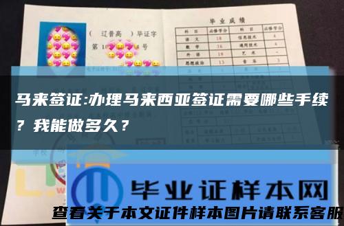 马来签证:办理马来西亚签证需要哪些手续？我能做多久？缩略图