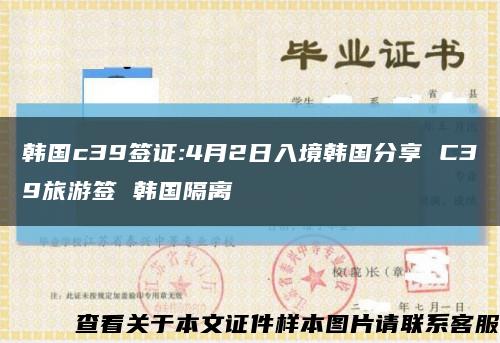 韩国c39签证:4月2日入境韩国分享 C39旅游签 韩国隔离缩略图