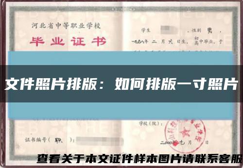 文件照片排版：如何排版一寸照片缩略图