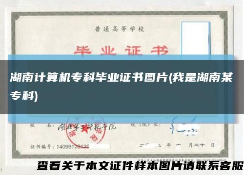 湖南计算机专科毕业证书图片(我是湖南某专科)缩略图