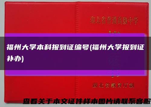 福州大学本科报到证编号(福州大学报到证补办)缩略图