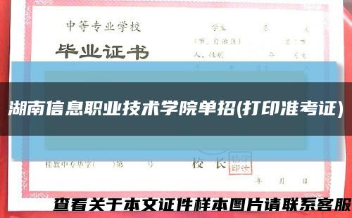 湖南信息职业技术学院单招(打印准考证)缩略图