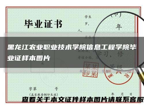 黑龙江农业职业技术学院信息工程学院毕业证样本图片缩略图
