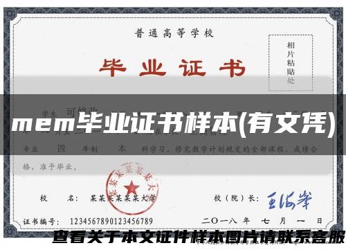 mem毕业证书样本(有文凭)缩略图