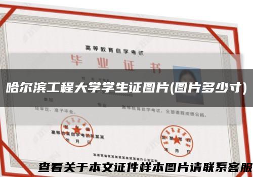 哈尔滨工程大学学生证图片(图片多少寸)缩略图