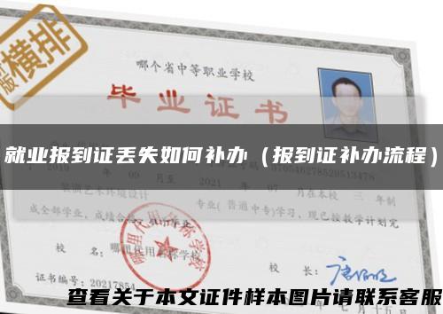 就业报到证丢失如何补办（报到证补办流程）缩略图