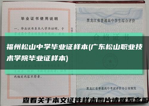 福州松山中学毕业证样本(广东松山职业技术学院毕业证样本)缩略图