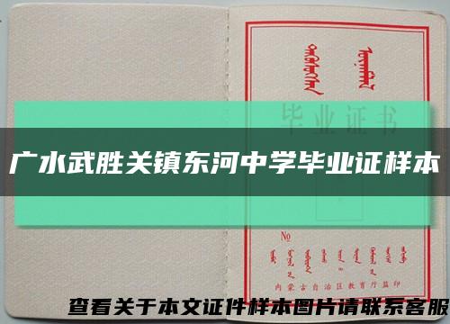 广水武胜关镇东河中学毕业证样本缩略图