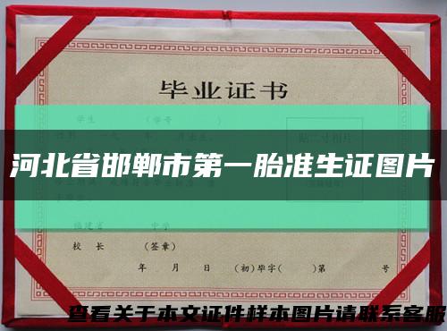 河北省邯郸市第一胎准生证图片缩略图