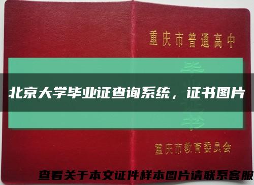 北京大学毕业证查询系统，证书图片缩略图