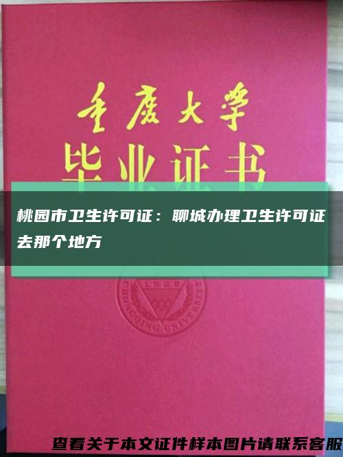 桃园市卫生许可证：聊城办理卫生许可证去那个地方缩略图