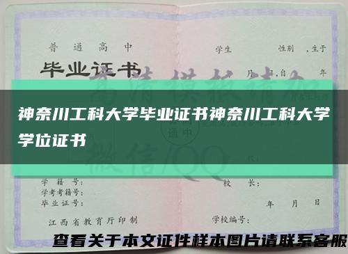 神奈川工科大学毕业证书神奈川工科大学学位证书缩略图