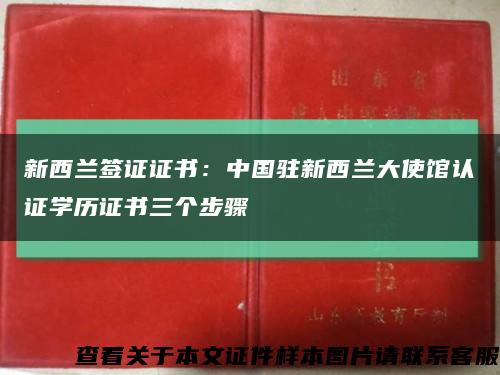 新西兰签证证书：中国驻新西兰大使馆认证学历证书三个步骤缩略图