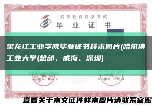 黑龙江工业学院毕业证书样本图片(哈尔滨工业大学(总部、威海、深圳)缩略图