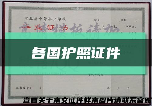 各国护照证件缩略图