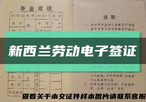 新西兰劳动电子签证缩略图