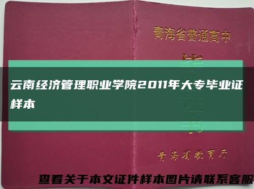 云南经济管理职业学院2011年大专毕业证样本缩略图