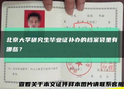 北京大学研究生毕业证补办的档案袋里有哪些？缩略图