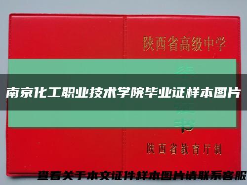 南京化工职业技术学院毕业证样本图片缩略图