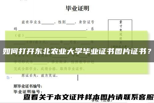 如何打开东北农业大学毕业证书图片证书？缩略图