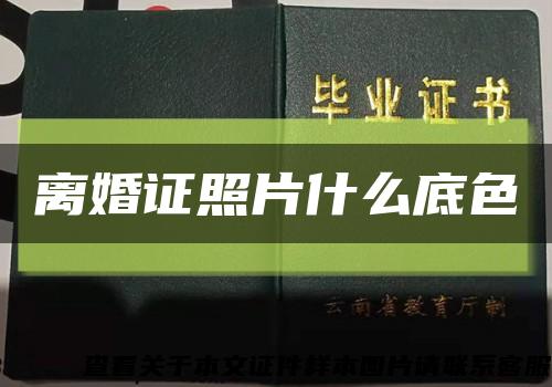 离婚证照片什么底色缩略图