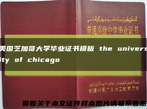 美国芝加哥大学毕业证书模板 the university of chicago缩略图
