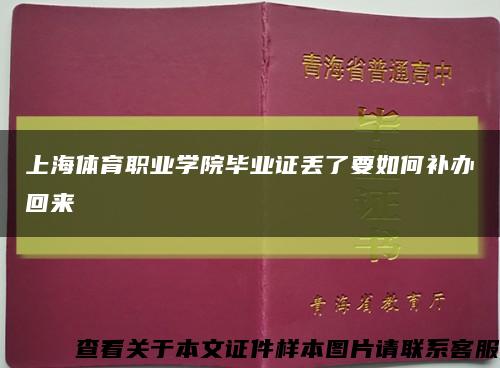 上海体育职业学院毕业证丢了要如何补办回来缩略图