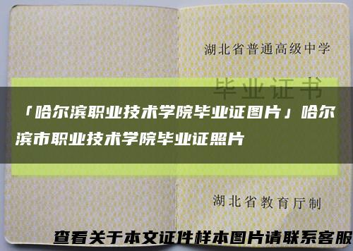 「哈尔滨职业技术学院毕业证图片」哈尔滨市职业技术学院毕业证照片缩略图