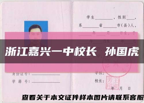 浙江嘉兴一中校长 孙国虎缩略图