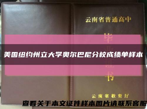 美国纽约州立大学奥尔巴尼分校成绩单样本缩略图