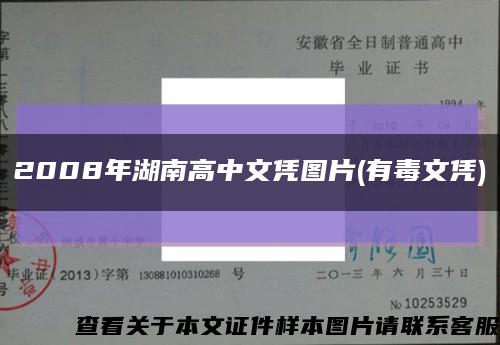 2008年湖南高中文凭图片(有毒文凭)缩略图