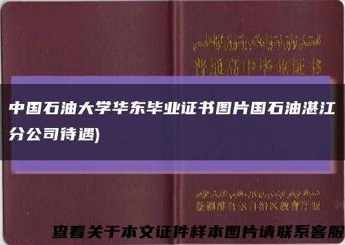中国石油大学华东毕业证书图片国石油湛江分公司待遇)缩略图