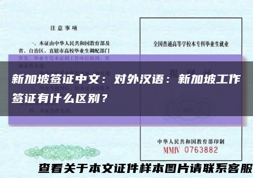 新加坡签证中文：对外汉语：新加坡工作签证有什么区别？缩略图