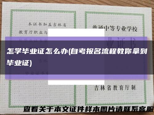 怎学毕业证怎么办(自考报名流程教你拿到毕业证)缩略图