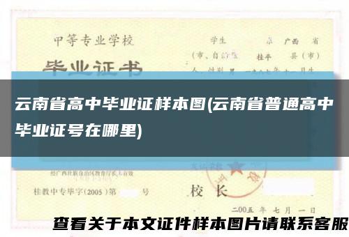 云南省高中毕业证样本图(云南省普通高中毕业证号在哪里)缩略图
