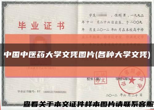 中国中医药大学文凭图片(各种大学文凭)缩略图