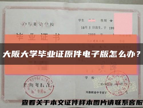 大阪大学毕业证原件电子版怎么办？缩略图