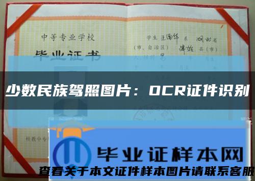 少数民族驾照图片：OCR证件识别缩略图