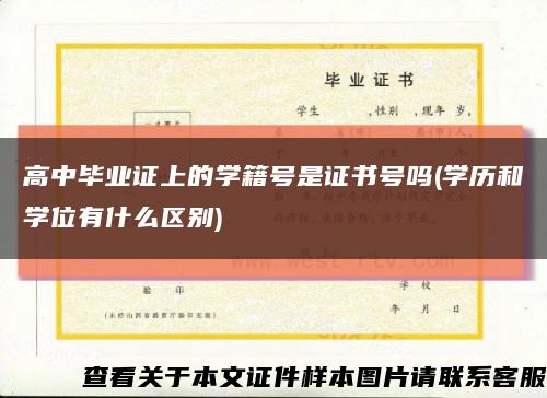 高中毕业证上的学籍号是证书号吗(学历和学位有什么区别)缩略图