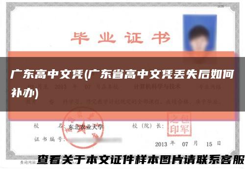 广东高中文凭(广东省高中文凭丢失后如何补办)缩略图