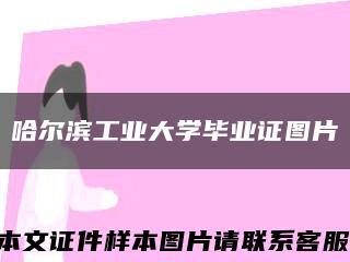 哈尔滨工业大学毕业证图片缩略图