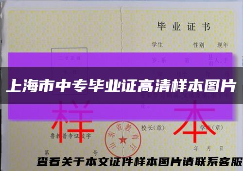 上海市中专毕业证高清样本图片缩略图