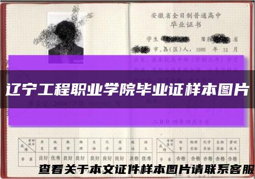 辽宁工程职业学院毕业证样本图片缩略图