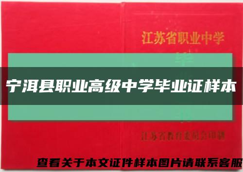 宁洱县职业高级中学毕业证样本缩略图