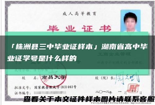 「株洲县三中毕业证样本」湖南省高中毕业证学号是什么样的缩略图
