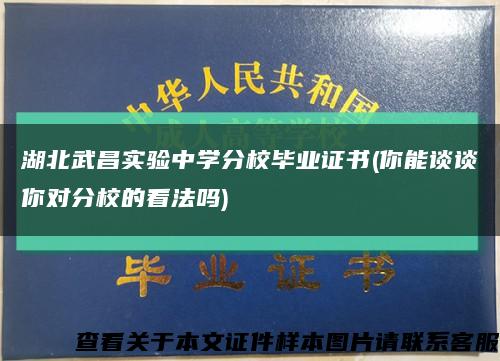 湖北武昌实验中学分校毕业证书(你能谈谈你对分校的看法吗)缩略图