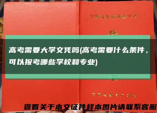 高考需要大学文凭吗(高考需要什么条件，可以报考哪些学校和专业)缩略图