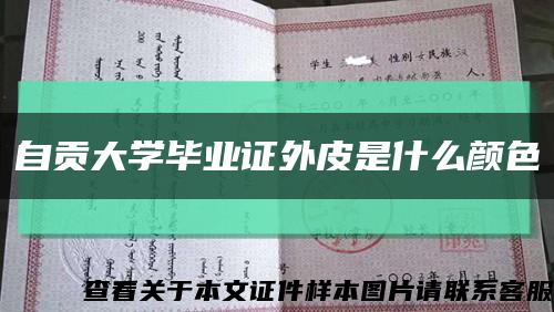 自贡大学毕业证外皮是什么颜色缩略图