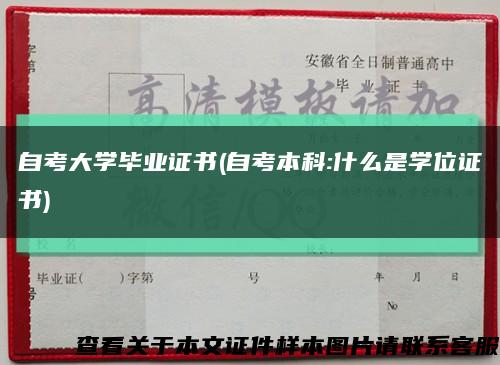 自考大学毕业证书(自考本科:什么是学位证书)缩略图