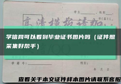 学信网可以看到毕业证书图片吗（证件照采集好帮手）缩略图